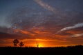 once in a life time sunset in Australia with sillhouettes of trees, Cobram, Victoria, Australia Royalty Free Stock Photo