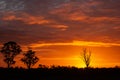 once in a life time sunset in Australia with sillhouettes of trees, Cobram, Victoria, Australia Royalty Free Stock Photo