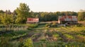 The oncebustling farm is now eerily quiet with no birds or insects buzzing around and the absence of the sweet smell of