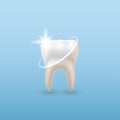 ÃÂ¡oncept Healthy Tooth, of dental examination, dental health and hygiene