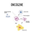 Oncogene: A mutated gene that can promote the growth and division of cells, potentially leading to the development of cancer Royalty Free Stock Photo