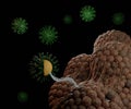 The oncolytic viruses are organisms able to identify, infect, and lyse different tumor cells