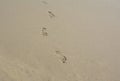 Oncoming steps on the beach sand