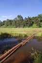 Ondiri Swamp in Kikuyu, Kenya Royalty Free Stock Photo