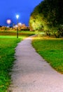 One alley among the grass in the park at night in the light of lanterns Royalty Free Stock Photo