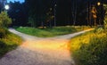 One alley in the park at night is divided into two hiking trails, diverging in different directions, illuminated by electric Royalty Free Stock Photo