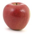 One Apple Royalty Free Stock Photo