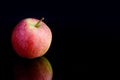 One apple on a black background with reflection Royalty Free Stock Photo