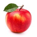 One apple Royalty Free Stock Photo