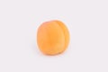 One apricot on the side isolated on a white background. Royalty Free Stock Photo