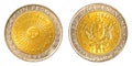 One argentinian peso coin Royalty Free Stock Photo