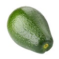 One avocado isolated on white background. alligator pear Royalty Free Stock Photo