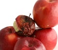 One bad apple spoils the whole bunch Royalty Free Stock Photo