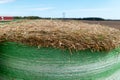 One bale of rolled hay on a farm, green twine wrap