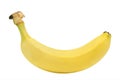 Banana tropical exotic fruit isolated Royalty Free Stock Photo