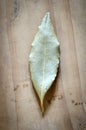 One bayleaf on a wood table