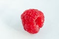 One beautiful berry raspberry on white background. Close-up.