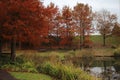 One of the beautiful lakes at bluewater shopping centre Royalty Free Stock Photo