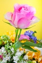 One beautiful pink rose in yellow background with flowers Royalty Free Stock Photo