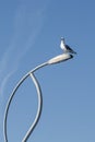 One Beautiful white gull is sitting on the Street lamp on the blue sky background Royalty Free Stock Photo
