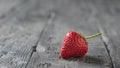 One berry ripe strawberries on a black wooden table.