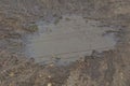 Big brown muddy puddle outside on the road