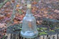 one big dirty gray glass bottle stands on a stump