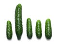 One big and four small cucumbers isolated