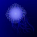 One big jellyfish in the depths of the ocean