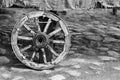 One big old wheel for the animal-drawn vehicle or for the cart