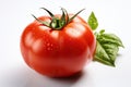 One big red tomato with water drops isolated on white background. Royalty Free Stock Photo