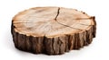 One big round piece of chopped wood isolated on white created with Generative AI