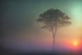 One big tall tree, sunrise in a foggy forest, sunlight through the haze, beautiful morning landscape. Generative AI