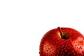 One big Wet red apple with drops Royalty Free Stock Photo