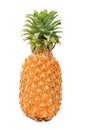 One big whole ripe pineapple on white background Royalty Free Stock Photo
