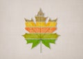 One big yellow maple leaf Royalty Free Stock Photo