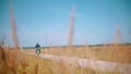 One biker is riding on the road on the wheat field