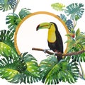 Toucan bird sitting on the branch with monstera.