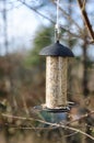 One bird feeder hangs in the three Royalty Free Stock Photo