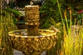 One bird splashing in a water fountain in a garden Royalty Free Stock Photo