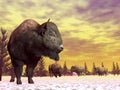 Bisons in winter - 3D render Royalty Free Stock Photo