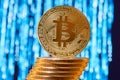 One bitcoin on edge placed on stack of golden bitcoins with blurred blue circuit on background Royalty Free Stock Photo