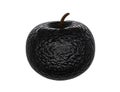one black bad rotten apple close up isolated on white