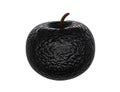 one black bad rotten apple close up isolated on white Royalty Free Stock Photo
