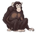 One black monkey chimpanzee