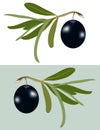 One black olive