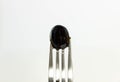 One black olive on a fork, dripping with olive oil Royalty Free Stock Photo