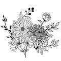 One black outline flower, branch and leaves.Isolated on white background.Hand drawn. Royalty Free Stock Photo