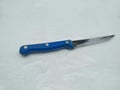one blade with a blue handle Royalty Free Stock Photo