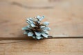 One bleached pine cone on the wooden background